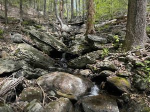 Little-Laurel Lime Ridge Park Waterfall