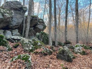 Lombardi Ridge Rock Hollow