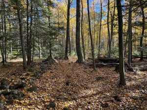 Metcalf Nature Preserve Trail