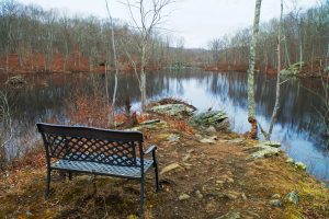 Mill Pond at Hartman Park