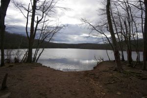 Millers Pond Area