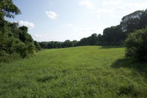 Milo Appley Field