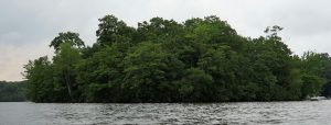 Minnie Island Today