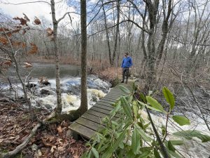 Mitchell Reed Woodlands Blue Trail