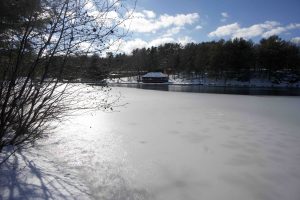 Mohegan Park Lake