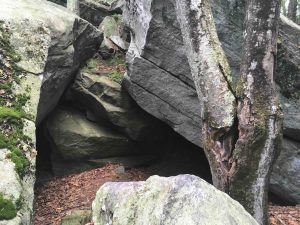 Mono Pond Island Cave