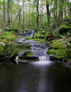 Natchaug Morey Cascades