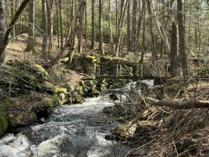 Natchaug State Forest Natchaug Trail