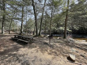 Natchaug State Forest Picnic Area