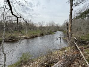 Natchaug Trail Lyon Road Still River
