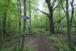Nehantic Nayantaquit Trail