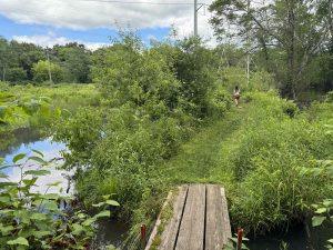 New State Trail Hockanum River