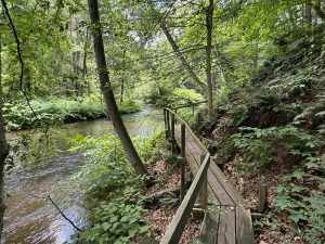 New State Trail boardwalk