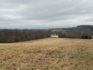 Niederwerfer Wildlife Sanctuary Overlook