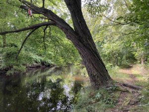 Oakland-Trail-Hockanum-View