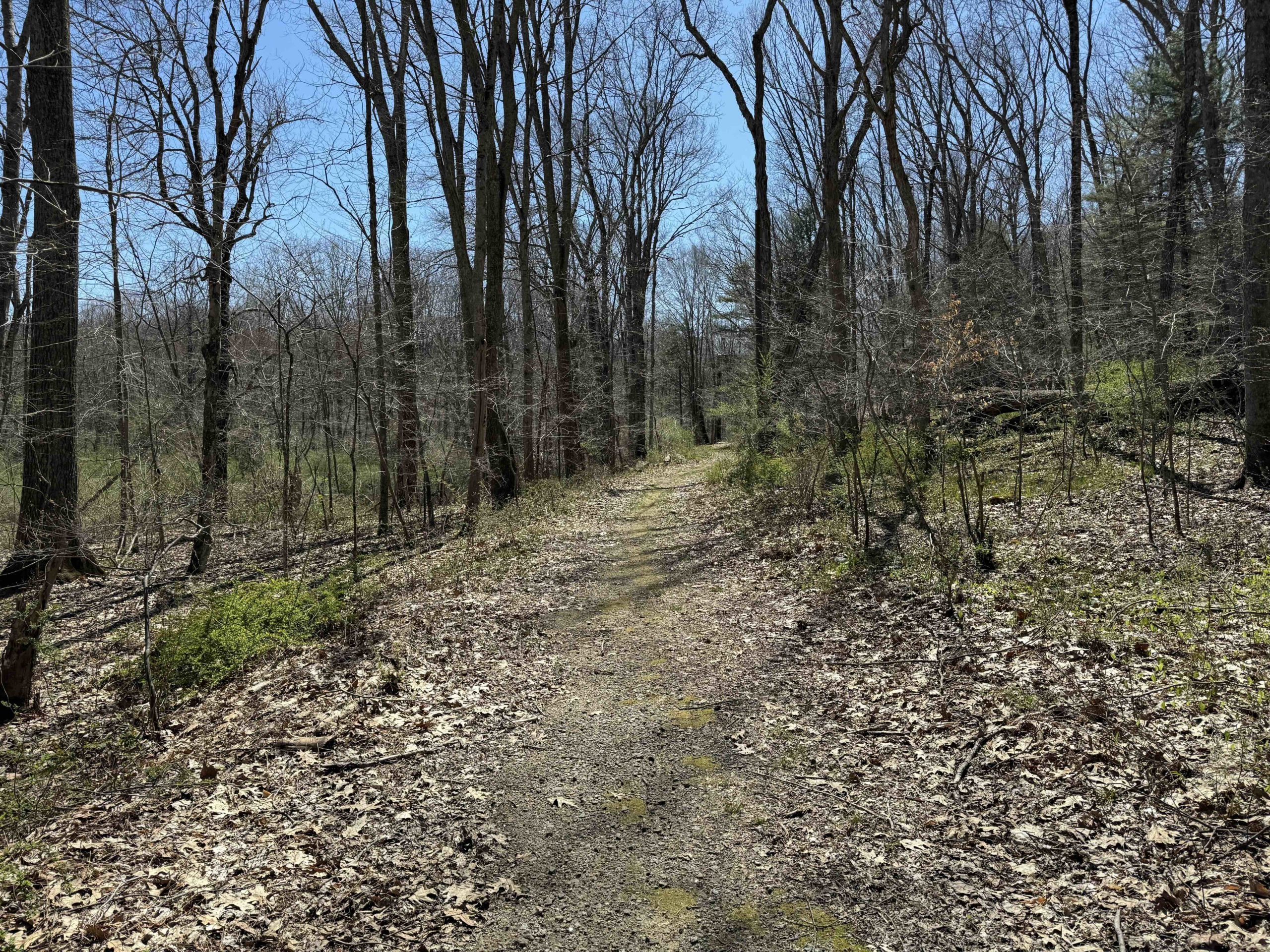 Old Hibbert Property Entrance