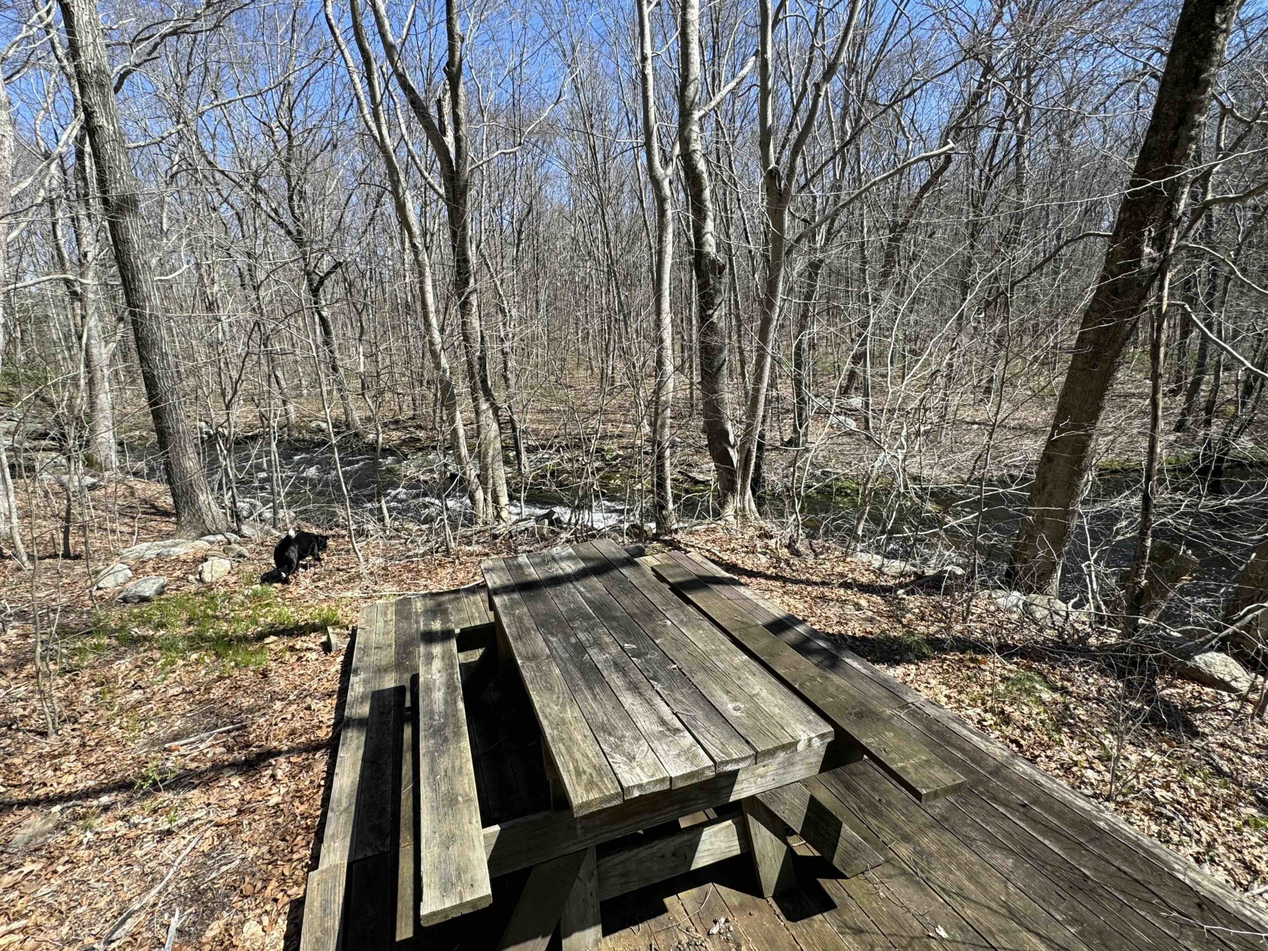 Old Hibbert Property Picnic Area