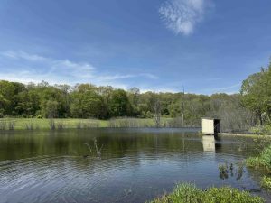 Osborndale Pond