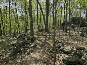 Osbornedale Red Trail