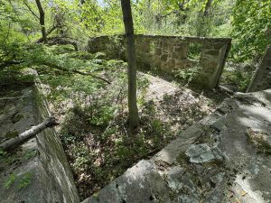Osbornedale Ruins