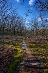 Oswegatchie Hills Trail