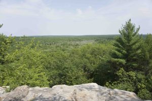 Pachaug Mt Misery Overlook Summer