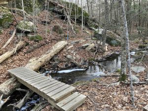 Peters Memorial Woods Blue Trail