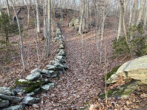 Peters Memorial Woods Light Blue Trail