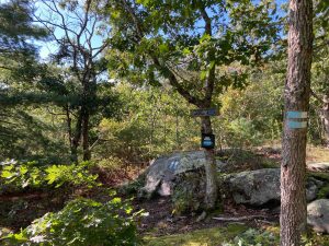 Pharisee Rock Summit