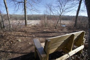 Pigeon-Swamp-Bench