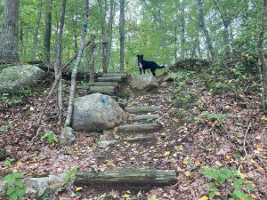 Pine Swamp Wildlife Corridor Trail