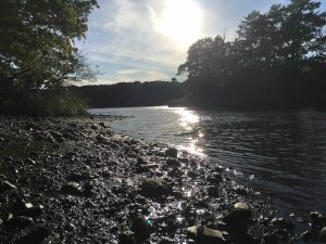 Poquetanuck Cove Trail View