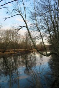 Potter Meadow Willimantic River