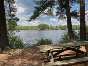 Quaddick Picnic Area Red Trail