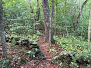 Quandoc Yellow Trail