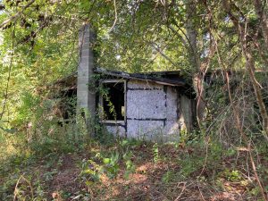 Quinebaug Trail Abandoned House