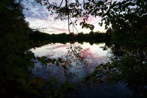 Risley Pond Sunset