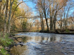 Scantic River State Park West
