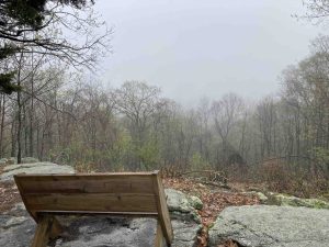 Scarlet Tanager Overlook