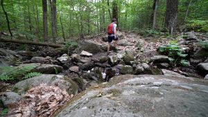 Shenipsit Lievre Brook