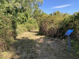 South River Meadows Trail