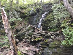 Sprague Waterfall 2