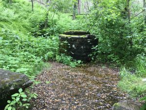 Springs at Rock Springs