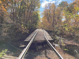 Stony Brooke Abandoned Rail