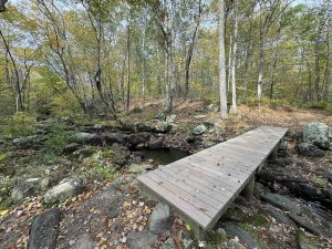 Timberland Preserve New England Trail