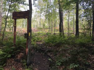 Two Sisters Airline Trailhead
