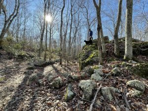Upper Three Mile River Preserve Dennison Farm