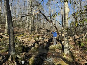 Upper Three Mile River Preserve White Trail
