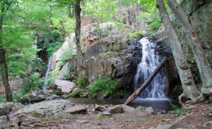 Westfield Falls Left and Right