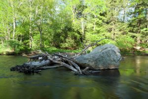 Willimantic River at King Riverside